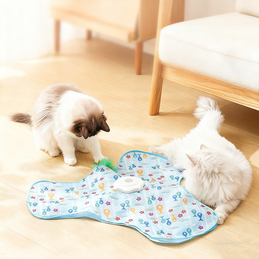 🐱🎣50% RABATT! 2-i-1 Göm & Söka Kattleksak – Mjuk Fjäder & Hållbar Bas