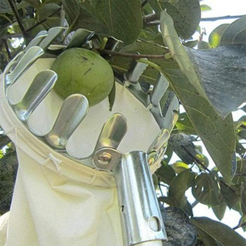 🔥 50% RABATT! 🔥Frukt Plockare Korg